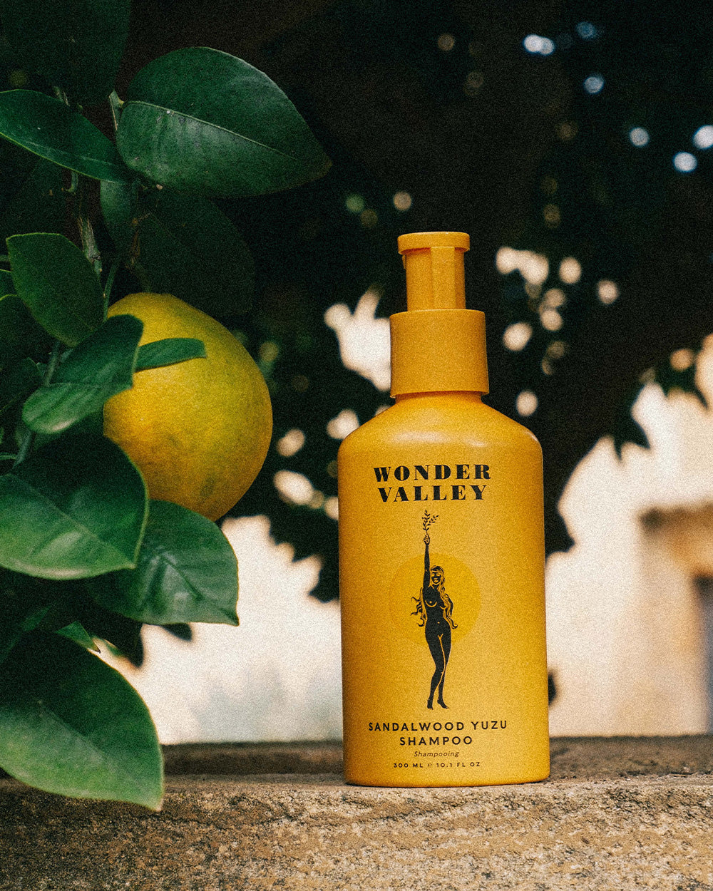 Sandalwood Yuzu Shampoo